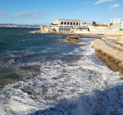 (10 ) Marseille 2020 : Affichage aux quatre vents  : Le printemps s’accroche aux murs en ce premier jour d’hiver !