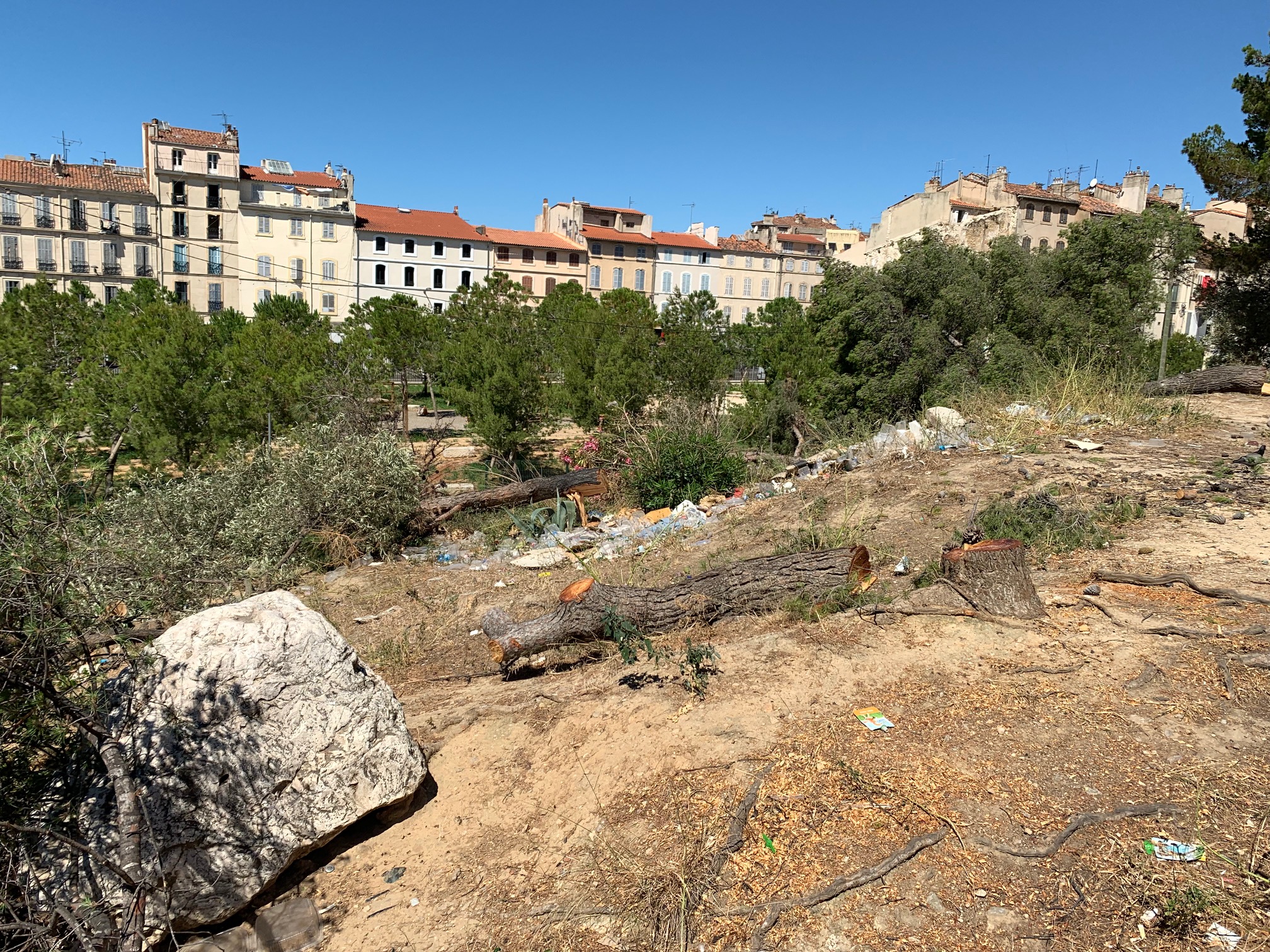 (2) Massacre à la tronçonneuse Porte d’Aix à Marseille : Les restes de la pinède de pins  – des pignes – On va rouvrir le dossier !